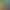 100 картин самобутньої художниці з Київщини Марії Примаченко представлені на виставці «Марія Малює» у столиці. Усі сто творів різного тематичного спрямування надав для показу мистецтвознавець Едуард Димшиць. Це його приватна колекція, яка раніше ніколи не виставлялася. Мистецтвознавець розповів, що збирав картини Примаченко впродовж 30 років.