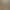 Харків’янин Сергій Прескорник подолав 225 кілометрів від Дніпра до Харкова. Таку дистанцію він пообіцяв пробігти близько місяця тому на плогінг-акції "Чистий лісопарк", якщо зможе зібрати 100 тисяч гривень до вересня на будівництво нової екостанції у Києві.