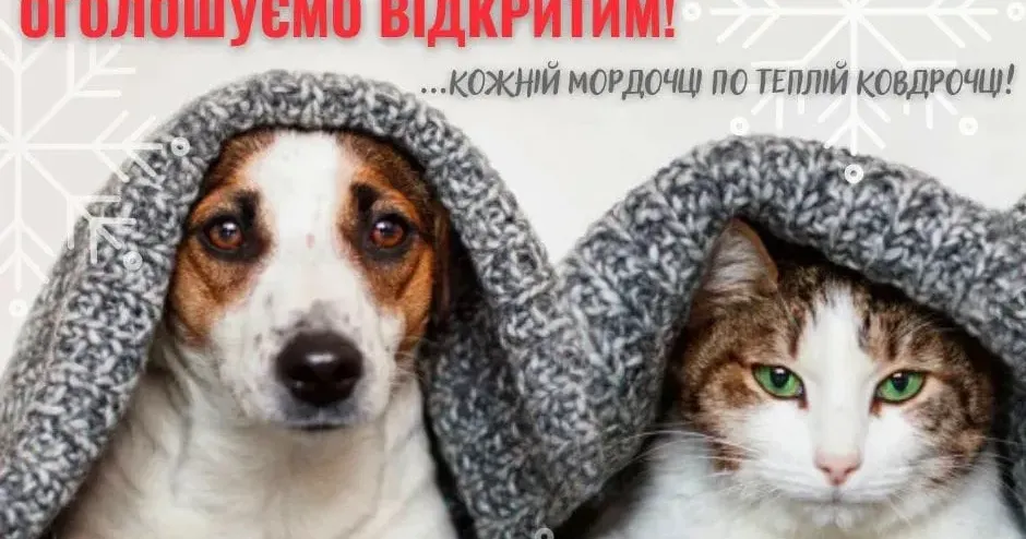 Фото КП «Центр поводження с тваринами» Притулок просить людей приносити речі для утеплення вольєрів.