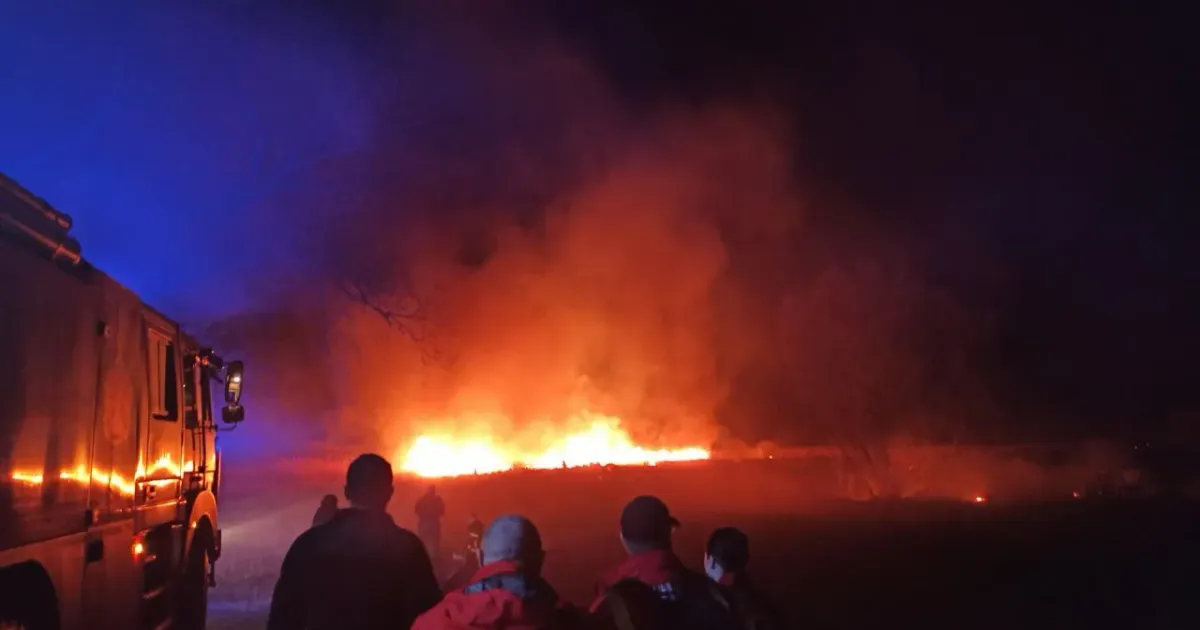 Фото з фейсбук-сторінки Красноградської міської ради У Красноградському районі за останню добу виникло 10 пожеж, з яких 9 пов’язані із загорянням сухої рослинності на порталі Gromada Group