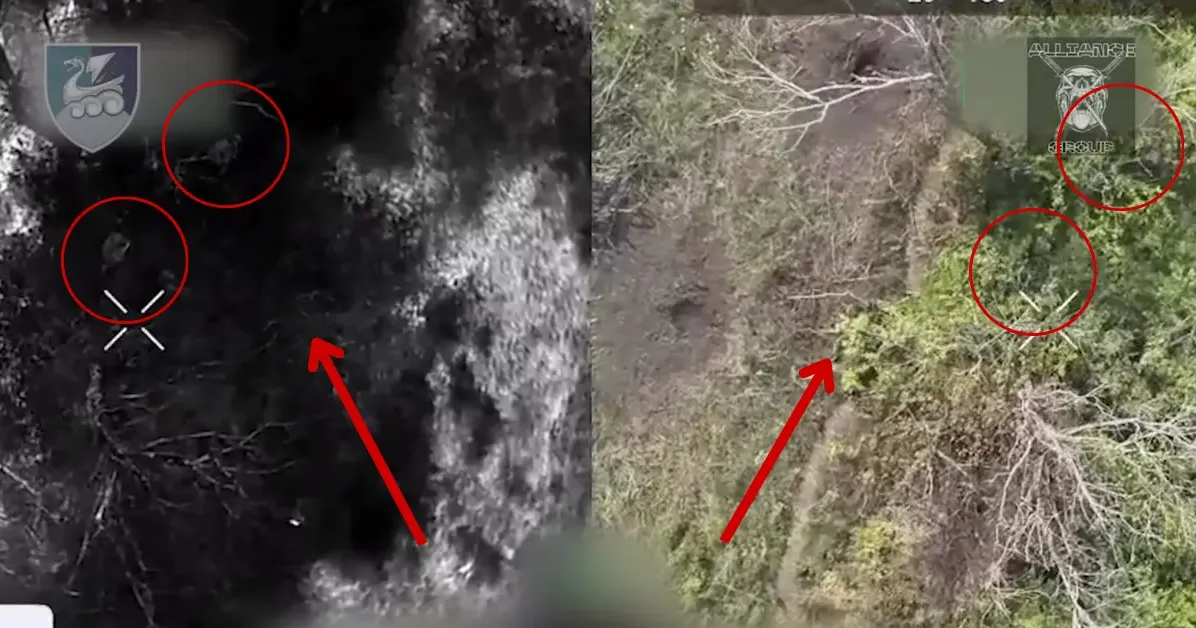 Скриншот з відео Прогулянка окупантів у лісі під Вовчанськом завдяки морпіхам закінчилась вибухами на порталі Gromada Group
