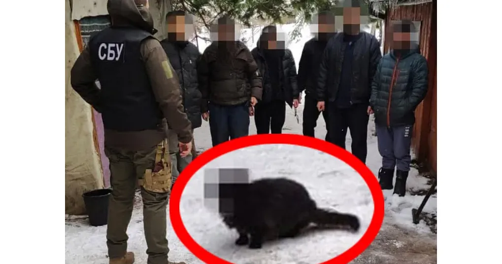 “Навіщо заблюрювати такі лиця, нехай люди знають цих “героїв”,“Скасувати закон. Потрібно, щоб зловмисників всі знали в обличчя! Якщо їм можна закон порушувати, значить потрібно показувати їх лиця”, “Даремно обличчя закриваєте, ми ворогів повинні знати”.
Такі коментарі часто зустрічаються під дописами медіа на основі повідомлень прокуратури або поліції, які публікують інформацію відносно осіб, що підозрюються в різних злочинах, та не показують їх обличчя. Люди висловлюють своє бажання побачити обличчя правопорушників.