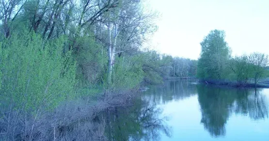 Про втрати живої і неживої природи Харківщини в умовах війни говоримо з Дмитром Шабановим, доктором біологічних наук, професором кафедри зоології та екології тварин Харківського національного університету імені В. Н. Каразіна.