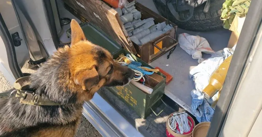 Фото Пресслужба Східного територіального управління Національної гвардії України Слобожанські гвардійці завадили ввезенню до Харкова майже 38 кг вибухівки (ФОТО) на порталі Gromada Group