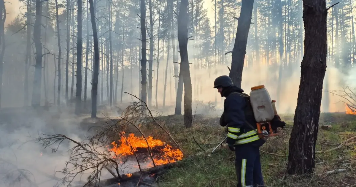 Фото: ДСНС На Харківщині масовані ворожі обстріли спричинили дві лісові пожежі на порталі Gromada Group