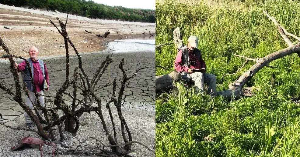 Колаж Олени Зеленіної. Особисті фото академіка Якова Дідуха. "А верба понад водою - наша доля..." Сталося диво! Що пропонують науковці заради компромісу технологій із природою? на порталі Gromada Group