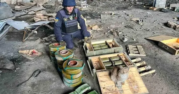 Фото ДСНС в Харківській області На деокупованих територіях після звільнення досі залишаються вибухонебезпечні предмети.