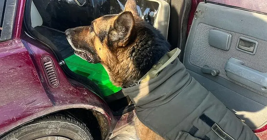Фото Пресслужби Східного територіального управління Національної гвардії України Пухнаста гвардійка Мальта не дозволила чоловікові провезти до Харкова 20 гранат різних систем на порталі Gromada Group