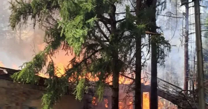 Фото Малоданилівська селищна рада На Харківщині росіяни обстріляли прихисток, куди звозили покинутих тварин на порталі Gromada Group