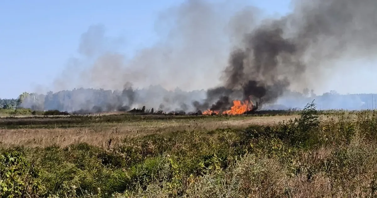 Фото: Харківське районне управління ГУ ДСНС України в Харківській області Громади мають убезпечити населені пункти, які перебувають в зоні ризику лісових пожеж на порталі Gromada Group