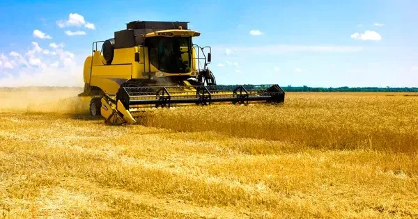 Господарства області завершують збирати врожай ранніх зернових та зернобобових культур. На сьогодні зібрано майже 90% зерна нового врожаю. Такі дані надали в Департаменті агропромислового розвитку ХОВА.