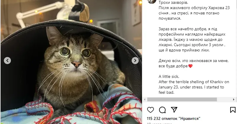 Кіт Степан "на профілактиці" https://www.instagram.com/p/C2kV-u_MQpA/?img_index=1