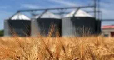 Фото з відкритих джерел Україна зменшила агроекспорт до країн ЄС до довоєнного рівня на порталі Gromada Group