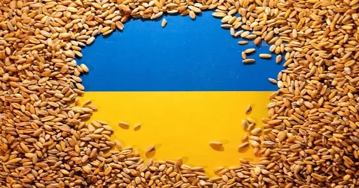REUTERS Dado Ruvic Illustration За останньою інформацією ХОВА, аграрії Харківської області намолотили понад 276 тисяч тонн зерна нового врожаю, обробили майже 62 тисячі гектарів. Роботи тривають у всіх районах області. Чи зможуть аграрії нині отримати прибутки після важкого минулого року, коли доводилося продавати зерно нижче його собівартості? Чи змінилася ситуація сьогодні?