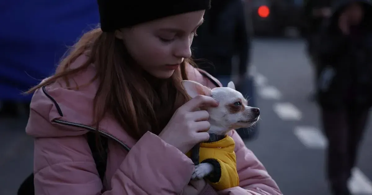 Фото ілюстративне Війна очима українських дітей. Частина п’ята на порталі Gromada Group