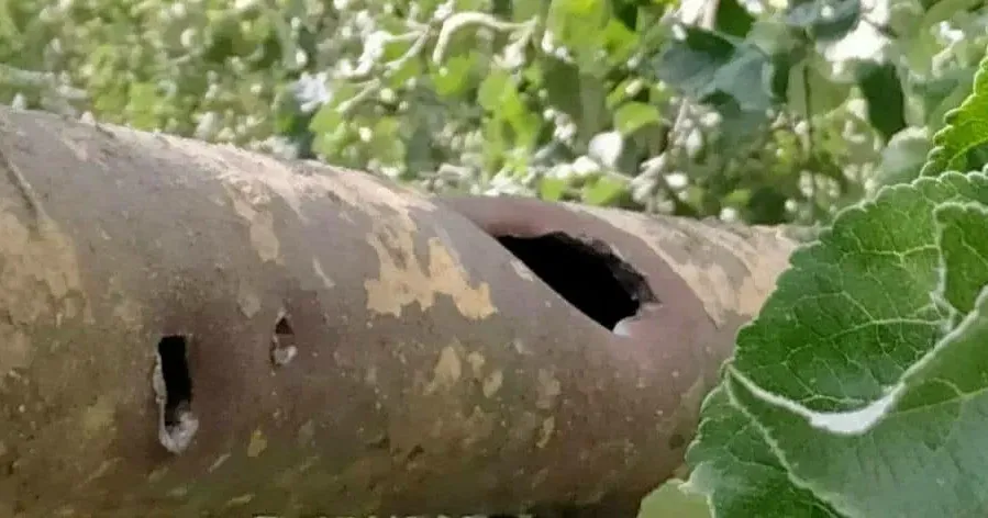 Джерело: "Газмережі". Харківська філія «Газмережі» відновили газопостачання у Золочівській громаді на порталі Gromada Group